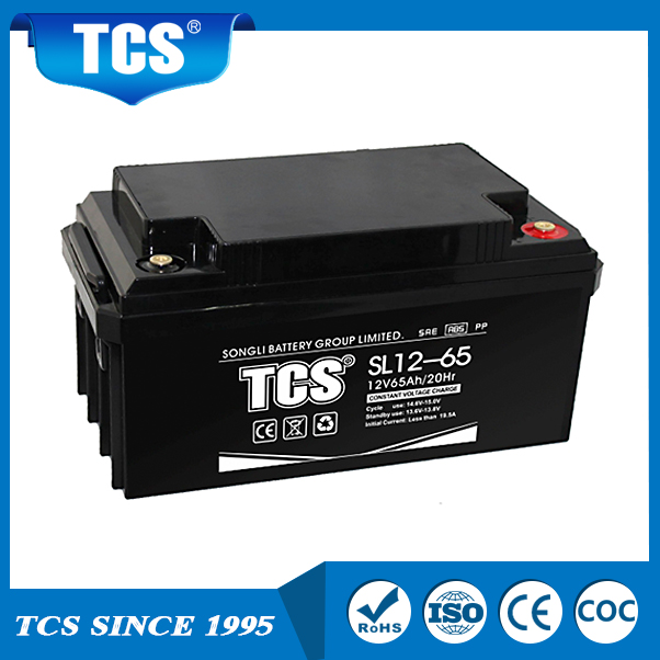 Ổ đĩa chì UPS lưu trữ pin năng lượng mặt trời SL12-65 TCS pin