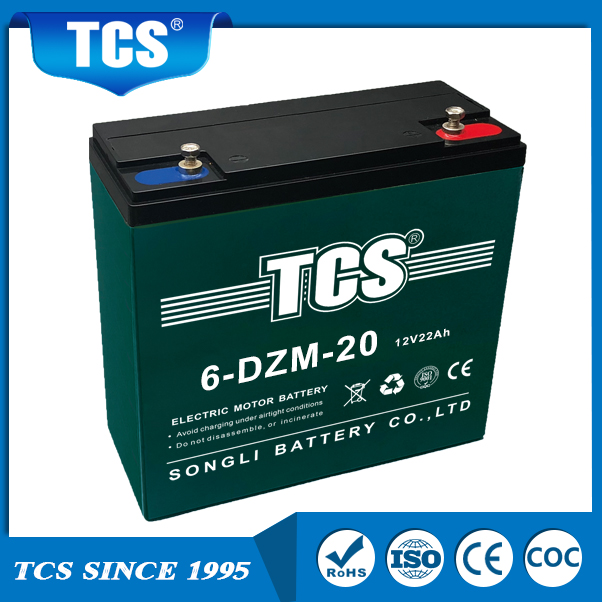 Pin xe đạp điện TCS 6-DZM-20 TCS