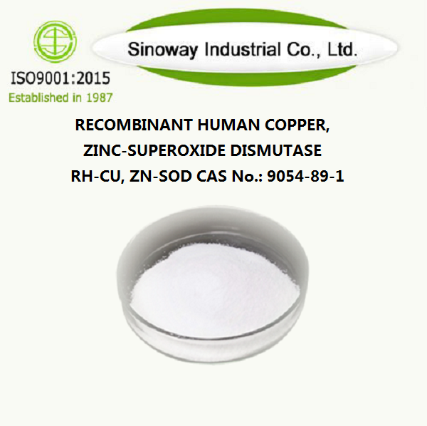 Tái tổ hợp đồng người, kẽm-superoxide disutase rh-cu, zn-sod 9054-89-1