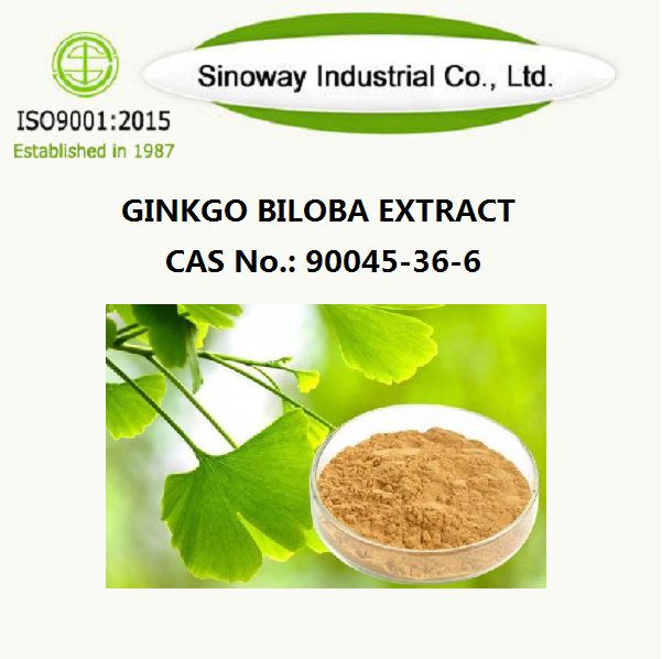 Chiết xuất Ginkgo Biloba 90045-36-6