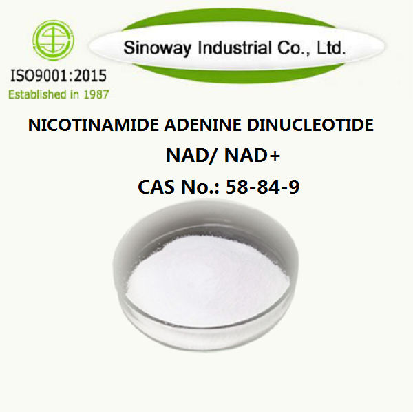Nicotinamide adenine dinucleotide 53-84-9