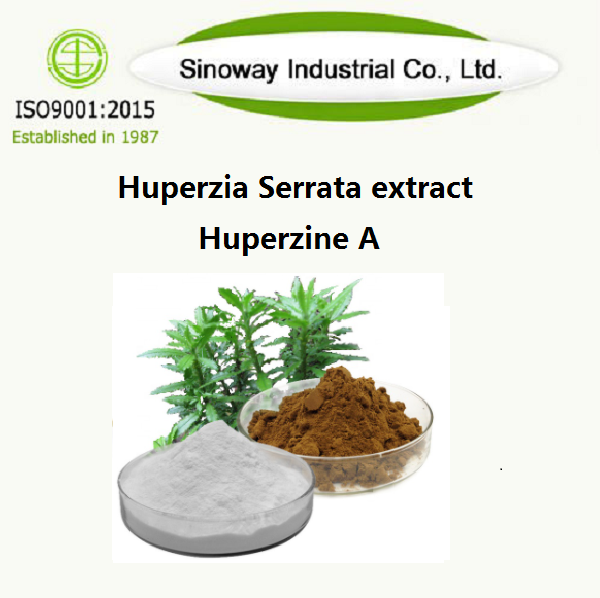 Chiết xuất Huperzia Serrata / Huperzine A 102518-79-6
