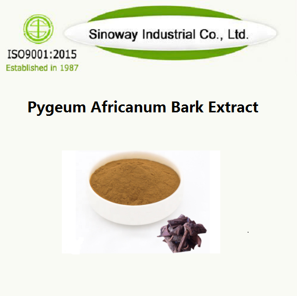 Chiết xuất vỏ cây Pygeum Africanum