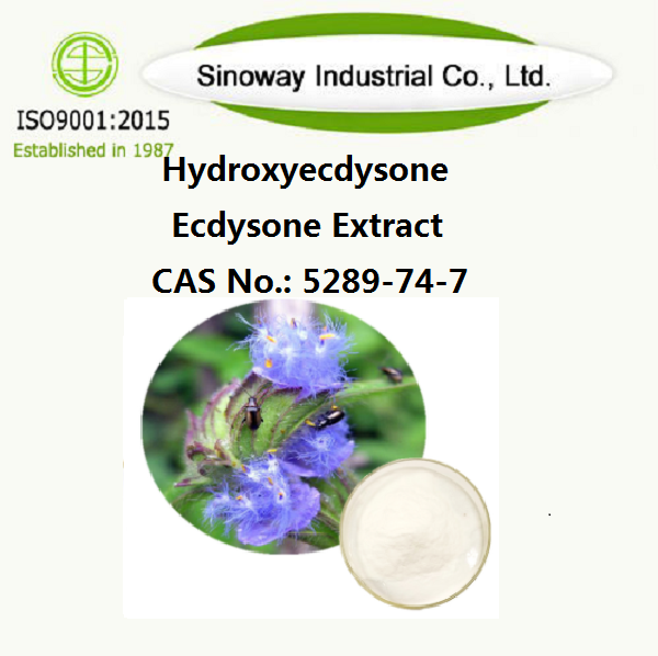 Hydroxyecdysone；Chiết xuất Ecdysone β-ecdysone 5289-74-7