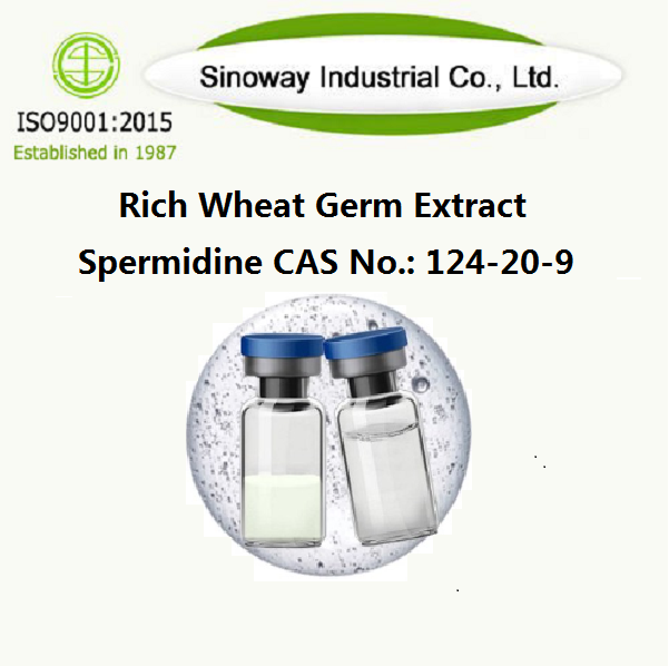 Chiết xuất mầm lúa mì giàu tinh trùng / Spermidine 124-20-9